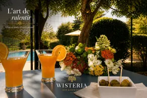 Wisteria #Swimming pool #Private terrace #Wine Route - Image 4
