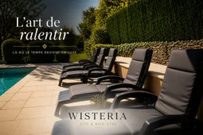 Wisteria #Swimming pool #Private terrace #Wine Route - Image 2