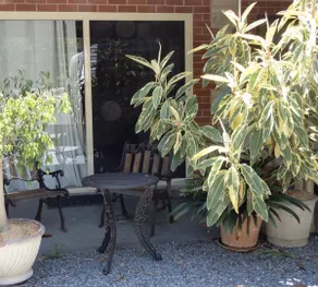 Pet-Friendly Studio with Views • Near Hahndorf - Image 2