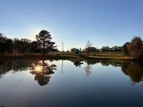 The Ponds @ Andalusia - Image 2