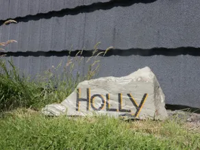 Holly - Image 4