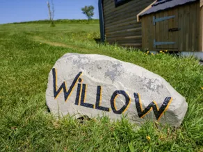 Willow - Image 5