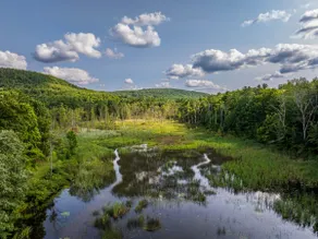 Hiking Nearby! Hot Tub, Movie & Game Room! - Image 5