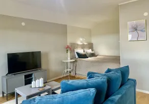 Attic apartment with view - Image 2