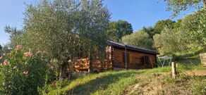 bungalow with wooden kitchen in agritourism - Image 2