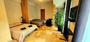 2-room guest apartment 46 m2. Canal du Midi - Image 2