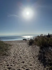 Walk to Wildemere Beach/ Pet Friendly Coastal stay - Image 2