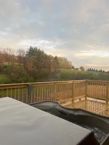Cozy Finger Lakes Cabin, Hot Tub Oasis - Image 5