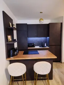 Luxury Holliday Apartment - Image 4