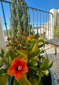 Artist’s House with Terrace & Views | Old Town - Image 3