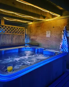 Hot Tub | Pet Friendly | Kayaks - Vasara Cottage - Image 4