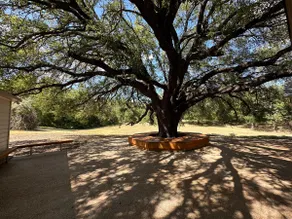 Escape to the Country - Full home in Paluxy - Image 4