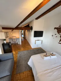 Cosy attic flat Lausanne center - Image 2