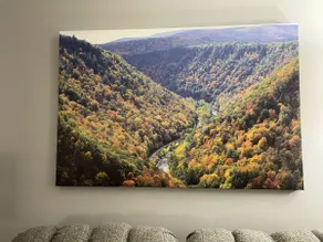 Secluded, Modern Mountain Home and Pet Friendly! - Image 3