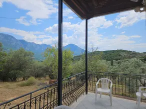 Olive grove with a view - Image 2