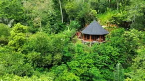 1 BR House in the Jungle-For Nature Lovers - Image 3