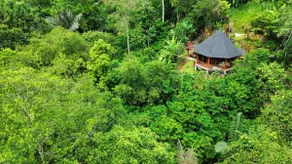 1 BR House in the Jungle-For Nature Lovers - Image 4