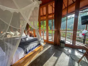 1 BR House in the Jungle-For Nature Lovers - Image 2