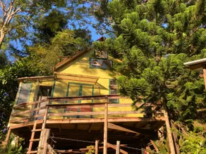 Eungella tree house - Image 5