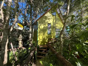 Eungella tree house - Image 2