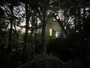 Eungella tree house - Image 3