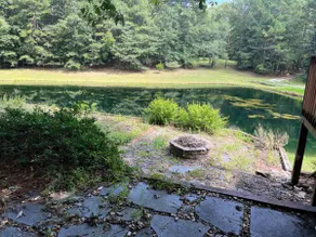 Kingsrun Lux Cabin | 2BR w/ Firepit & Pond Views - Image 3
