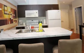 Newly renovated downtown condo - Image 3