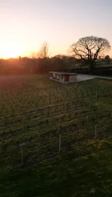 Hector Lodge Vineyard stay w/Hot Tub - Image 2