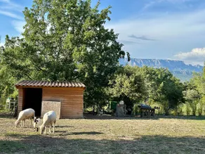 Maisonette Sainte Victoire - Image 3