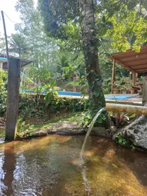 Nadai's Place Entire country house - Image 3