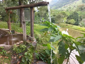 Nadai's Place Entire country house - Image 5