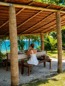 Beachfront Home: Free Ferry to Santo & Tours - Image 3