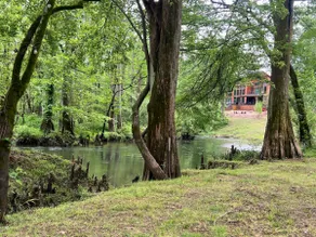 Modern Riverfront Cabin |Private Pickleball Court - Image 5