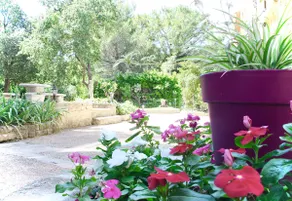 Hot tub and heated pool between vine and horizon - Image 5