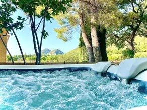 Hot tub and heated pool between vine and horizon - Image 3