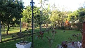 Alles Acer - Little Corner of Peace - - Image 5