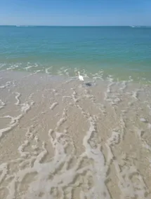 Marco Island Private Getaway - Image 5