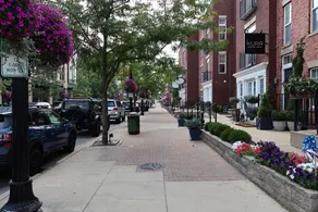 Beautiful Townhouse Downtown Carmel - Image 5