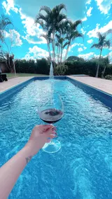 Best Heated/Air-conditioned Pool - Image 2