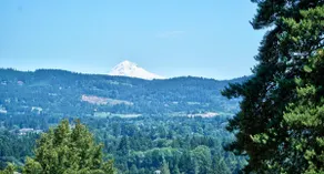 Dundee Hills Haven | King Suite, Sauna & Views - Image 3