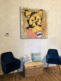 The Casita - Image 3