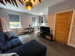 Large 1 bed Apartment- West Midlands - Image 4