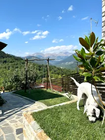 Kounia Bella - Palio Mikro Chorio - Image 3
