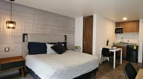 Loft with garden 10 minutes from downtown Coyoacán - Image 2