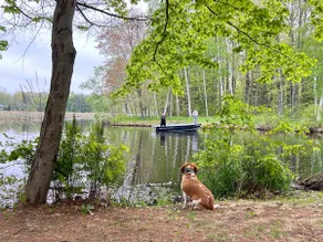 Peaceful lake cottage-great fishing & kayaking - Image 4
