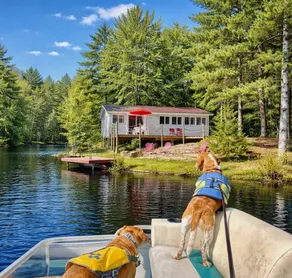Peaceful lake cottage-great fishing & kayaking - Image 3