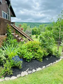 House in a woods of Middlesex, NY - Image 2