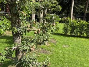 Luxury detached lodge in beautiful cycling and hiking area - Image 5