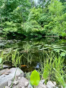 The Lodge - Image 5