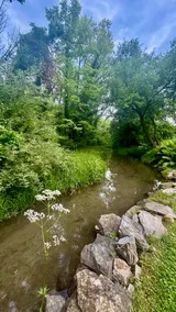The Creekside Cottage: Downtown | Pet-Friendly - Image 3